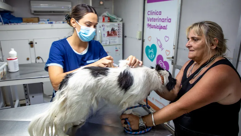 Vacunación antirrábica y desparasitación en el Barrio Luz