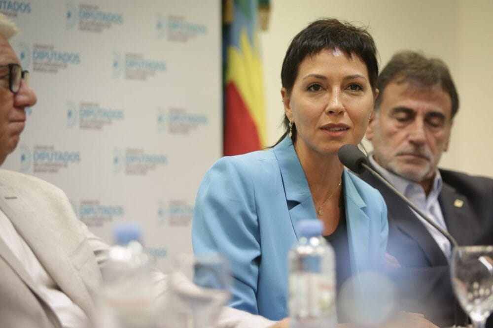 Mayra Mendoza, expuso sobre la situación de la cuenca de los arroyos San Francisco-Las Piedras