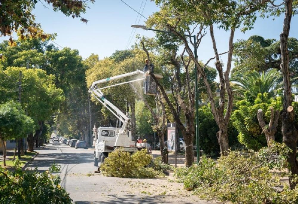 San Isidro lanza el Plan Integral de Arbolado